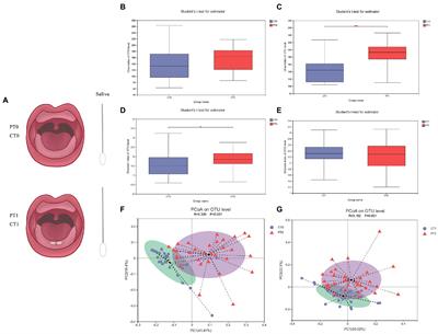 Microbiota of preterm infant develops over time along with the first teeth eruption